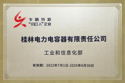 國家級“專精特新”重點小巨人企業(yè)