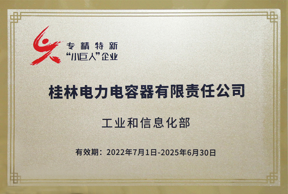 國家級專精特新“小巨人”企業(yè).jpg